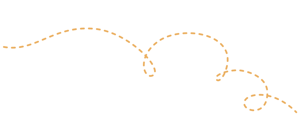 swirly dashed line