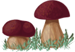 mushrooms