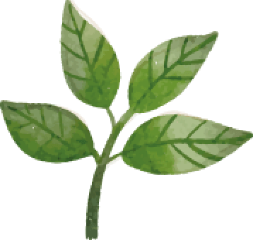 sprout